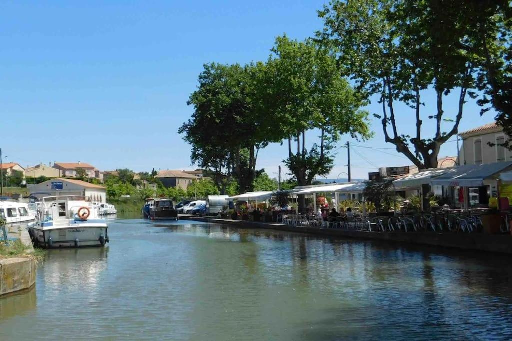 Appartamento La Casa De Gaelle 2 Trèbes Esterno foto